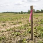 wooden survey stakes with pink flagging tape marking lot lines on undeveloped land